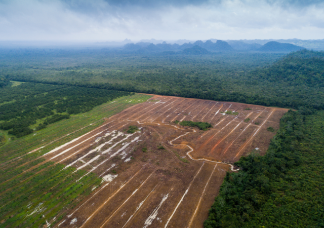 A new report from McKinsey finds that agriculture is the largest contributor to human society exceeding planetary boundaries.